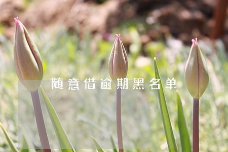 随意借逾期黑名单 随意借逾期黑名单