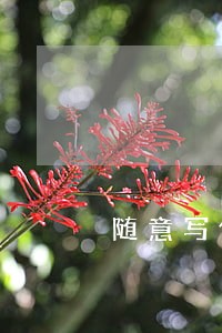 随意写借条要负法律责任 随意写借条要负法律责任