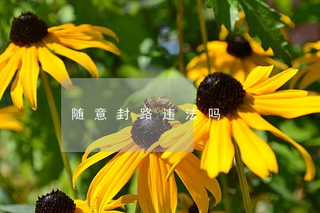 随意封路违法吗 随意封路违法吗