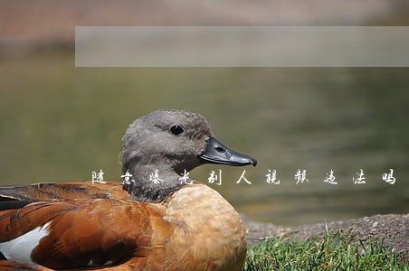 随意曝光别人视频违法吗 随意曝光别人视频违法吗