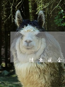 随意现金逾期上征信 随意现金逾期上征信