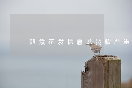 随意花发信息说贷款严重逾期 随意花发信息说贷款严重逾期