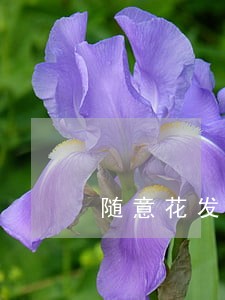 随意花发短信说我逾期 随意花发短信说我逾期