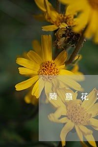 随意花发短信说我逾期了怎么查询 随意花发短信说我逾期了怎么查询