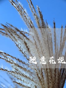 随意花说我贷款逾期 随意花说我贷款逾期