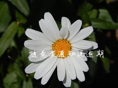 随意花通知说逾期 随意花通知说逾期