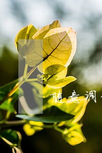 随意调动员工岗位是违法吗 随意调动员工岗位是违法吗
