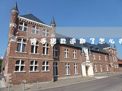 随手借款逾期了怎么办
