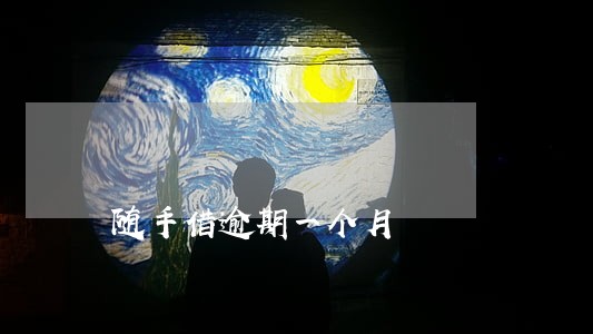 随手借逾期一个月 随手借逾期一个月