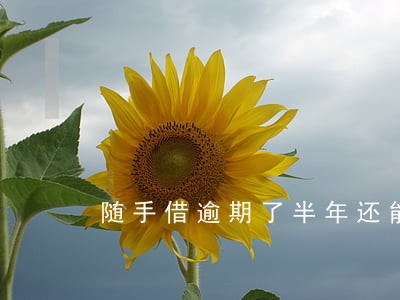 随手借逾期了半年还能用吗 随手借逾期了半年还能用吗