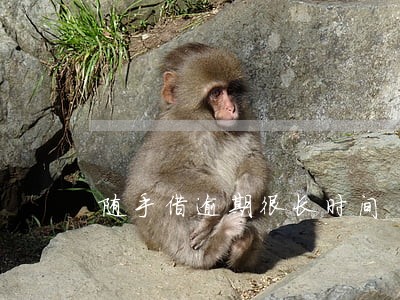 随手借逾期很长时间 随手借逾期很长时间