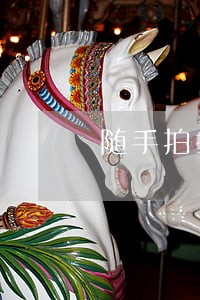 随手拍举报的13种违法情形 随手拍举报的13种违法情形