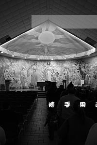 随手用逾期罚息多少 随手用逾期罚息多少