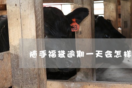 随手福袋逾期一天会怎样 随手福袋逾期一天会怎样