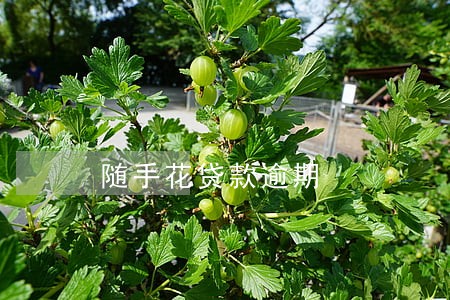 随手花贷款逾期 随手花贷款逾期
