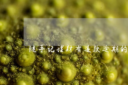 随手记理财有退款逾期的吗 随手记理财有退款逾期的吗