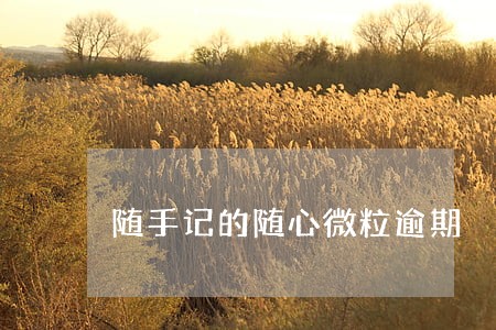 随手记的随心微粒逾期 随手记的随心微粒逾期