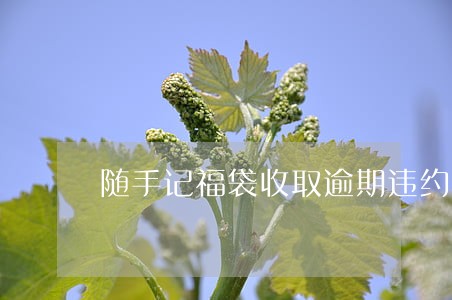 随手记福袋收取逾期违约金合法吗 随手记福袋收取逾期违约金合法吗