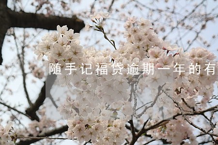 随手记福贷逾期一年的有没有 随手记福贷逾期一年的有没有