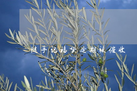 随手记福贷逾期被催收 随手记福贷逾期被催收