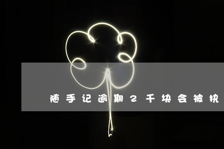 随手记逾期2千块会被执行吗 随手记逾期2千块会被执行吗