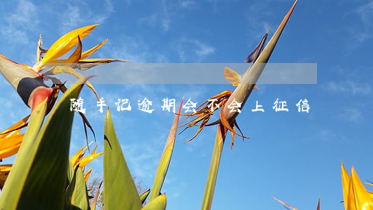 随手记逾期会不会上征信 随手记逾期会不会上征信