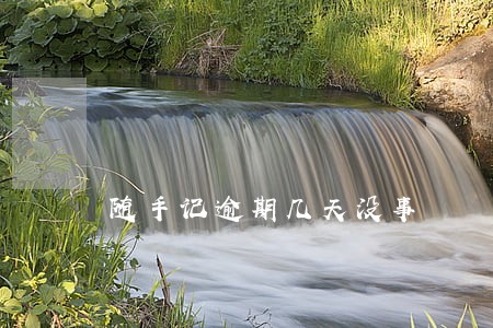 随手记逾期几天没事