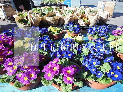 随手记逾期多久上门 随手记逾期多久上门