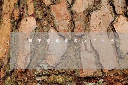 随手记逾期多久打电话 随手记逾期多久打电话