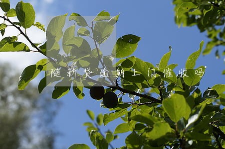 随新贷逾期上门催收吗 随新贷逾期上门催收吗