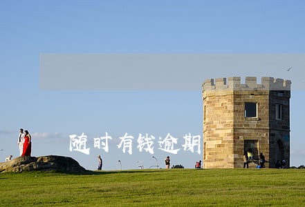 随时有钱逾期