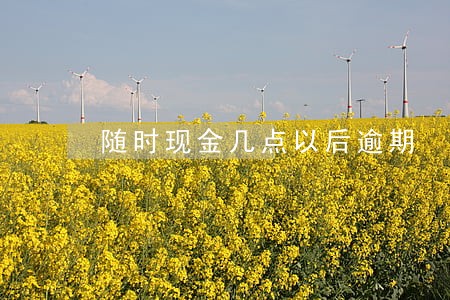 随时现金几点以后逾期 随时现金几点以后逾期