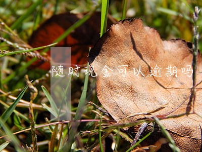 随时现金可以逾期吗