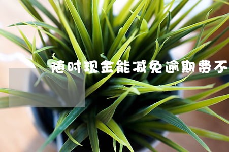 随时现金能减免逾期费不 随时现金能减免逾期费不