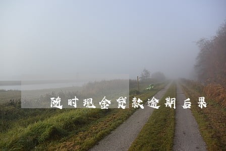 随时现金贷款逾期后果 随时现金贷款逾期后果