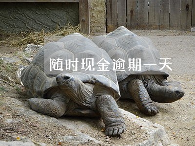 随时现金逾期一天 随时现金逾期一天