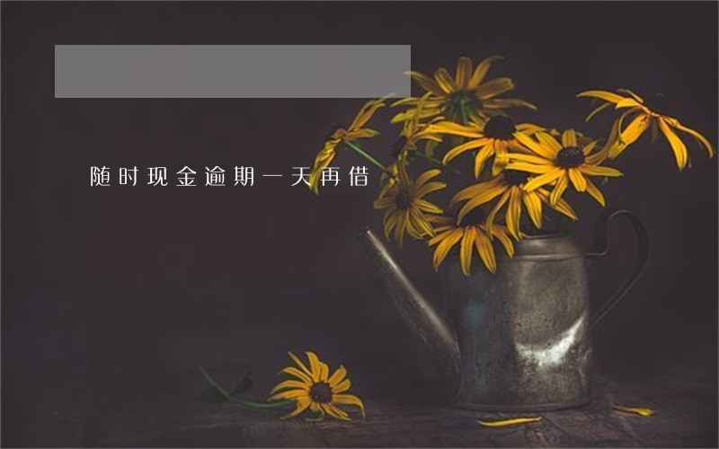 随时现金逾期一天再借
