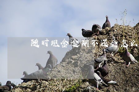 随时现金逾期不还会怎么样 随时现金逾期不还会怎么样