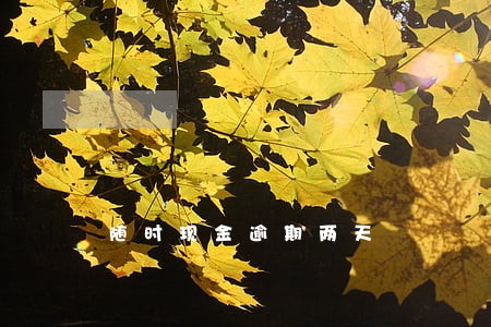 随时现金逾期两天 随时现金逾期两天