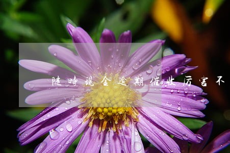随时现金逾期催收厉害不 随时现金逾期催收厉害不