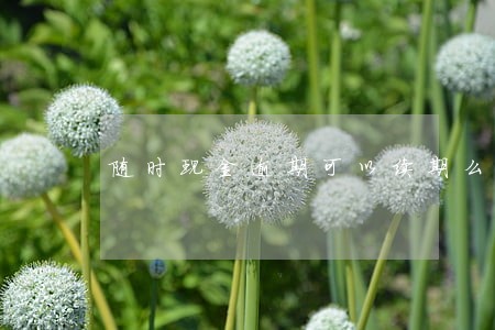 随时现金逾期可以续期么 随时现金逾期可以续期么