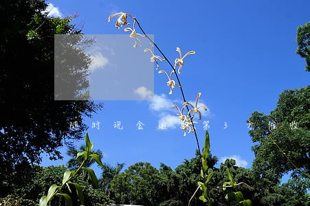 随时现金逾期第3方催收 随时现金逾期第3方催收