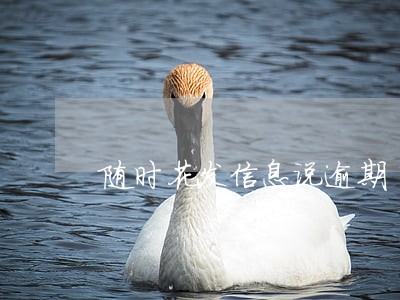 随时花发信息说逾期