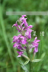 随星借只还本金 随星借只还本金