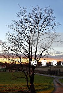 随星借逾期了一天几个短信 随星借逾期了一天几个短信