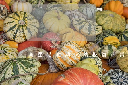 随星借逾期突然恢复正常还款 随星借逾期突然恢复正常还款