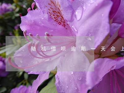 随机借呗逾期一天会上门吗 随机借呗逾期一天会上门吗