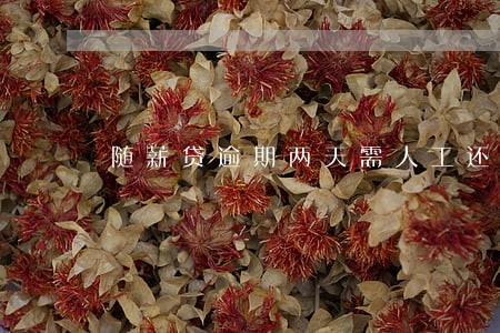 随薪贷逾期两天需人工还款吗 随薪贷逾期两天需人工还款吗
