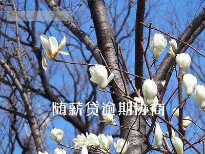 随薪贷逾期协商 随薪贷逾期协商