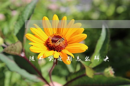 随薪贷逾期怎么解决 随薪贷逾期怎么解决